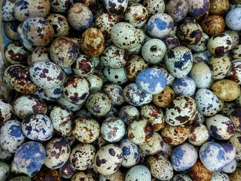 Full frame shot of blueberries