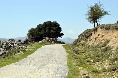 Scenic view of landscape against clear sky