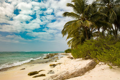Scenic view of beach against sky