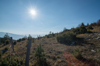 Scenic view of landscape against bright sun