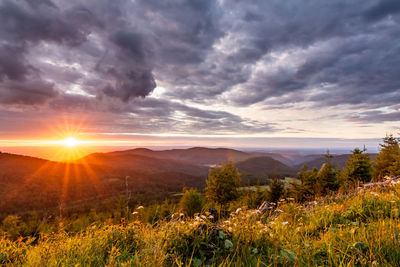 Scenic view of field against sky during sunset