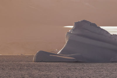 Low section of woman standing on beach