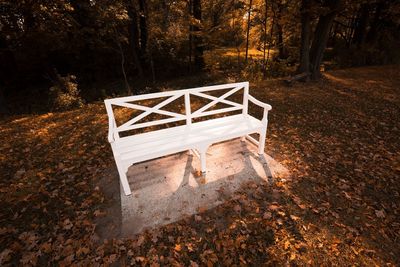 Empty bench in forest