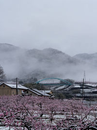 Scenic view of mountains against sky during winter