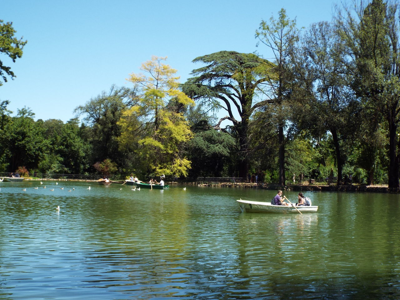 PEOPLE IN BOAT ON LAKE AGAINST TREES