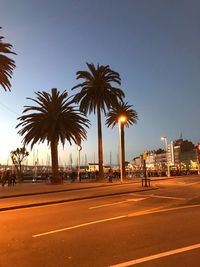 Palm trees by road against sky in city at night