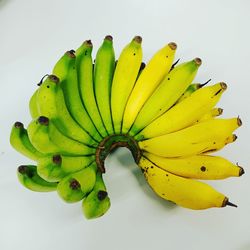 High angle view of banana leaf on white background