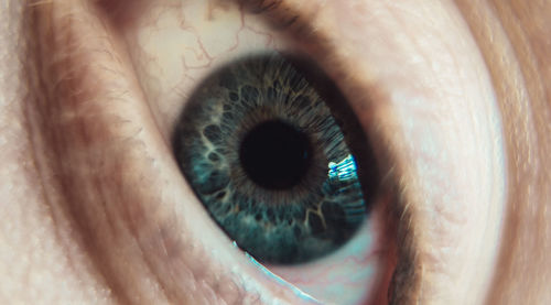 Extreme close-up of human eye