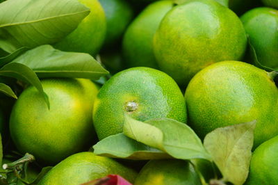 Full frame shot of oranges