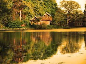 Reflection of trees in water