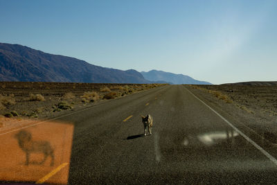 Scenic view of road by mountains against clear sky