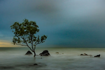 Scenic view of calm sea against sky