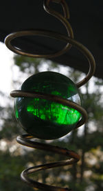 Close-up of fruit hanging on glass