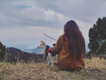 View of a dog on the field