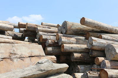 Low angle view of logs against sky