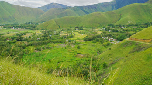 Scenic view of agricultural field