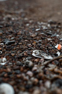 Close-up of cigarette on land