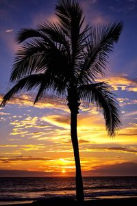 Silhouette tree by sea against sunset sky