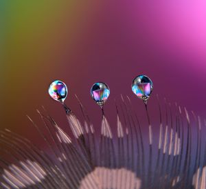 Close-up of multi colored lights