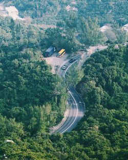 High angle view of road amidst trees in forest