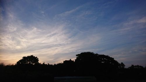 Silhouette trees against sky during sunset