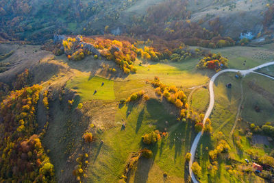 Idyllic drone image of autumn countryside hills. aerial landscape. transylvania, romania