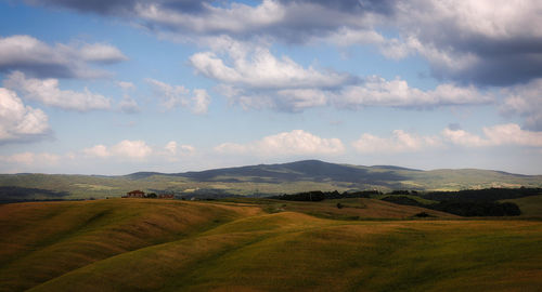 Scenic view of agricultural field against sky