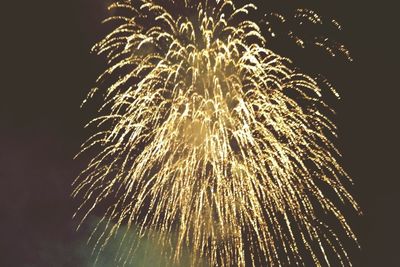 Low angle view of firework display