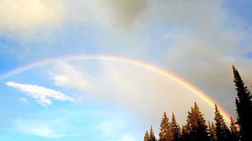 Low angle view of rainbow over trees against sky