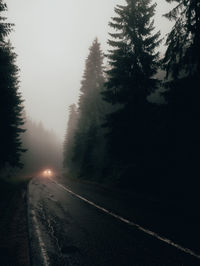 Road amidst trees against sky during winter