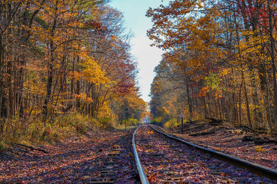 High angle view of railroad track in forest during autumn