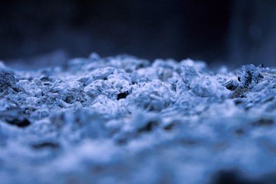 Close-up of frozen water