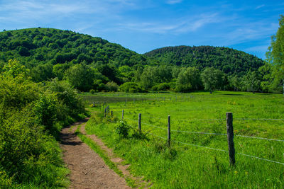 View from the puy-des-goules volcano hiking trail