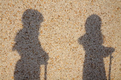 Shadow of people on street