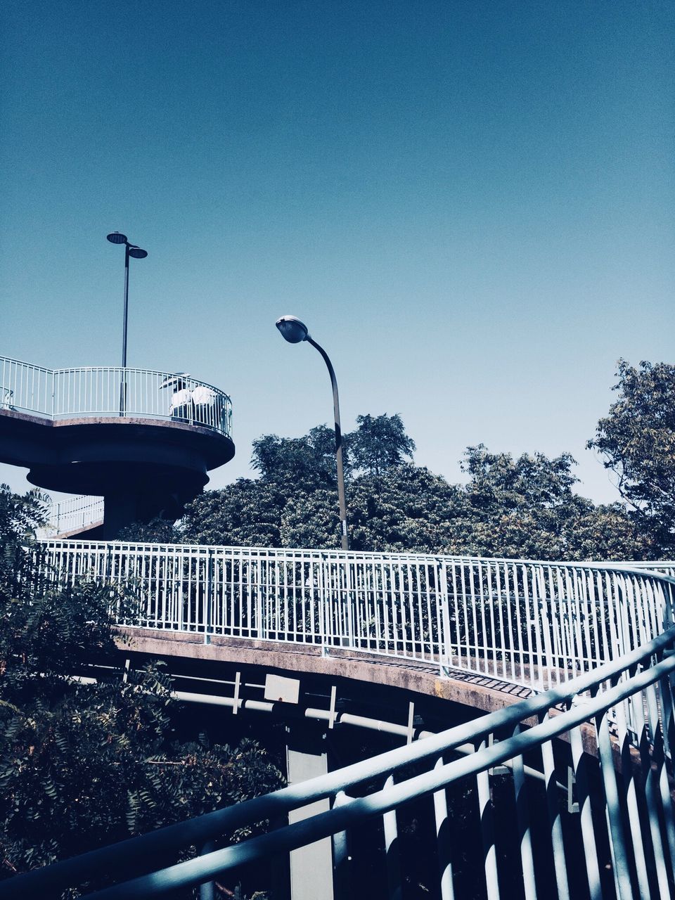 sky, street light, railing, tree, architecture, street, nature, plant, clear sky, copy space, built structure, no people, day, lighting equipment, bridge, connection, blue, outdoors, transportation, bridge - man made structure, balustrade