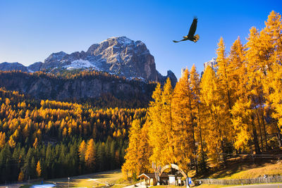 The beautiful autumn scenery of the dolomitis rejion