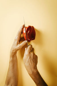 Close-up of hand holding red over white background