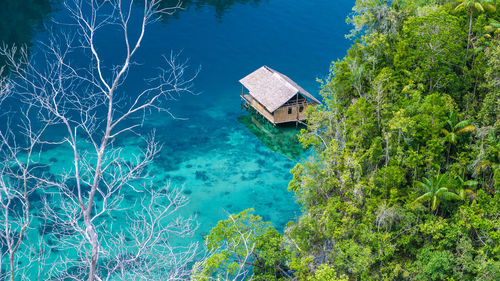 High angle view of plants by sea