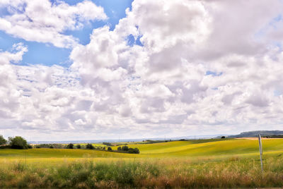 Scenic view of agricultural field against sky