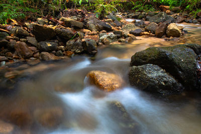 Blurred motion of stream flowing in forest