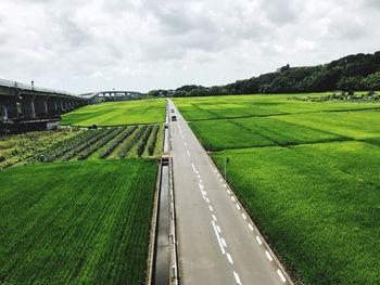 Scenic view of agricultural field against sky