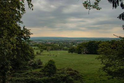 Scenic view of landscape against sky