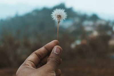 Close-up of hand holding dandelion against sky