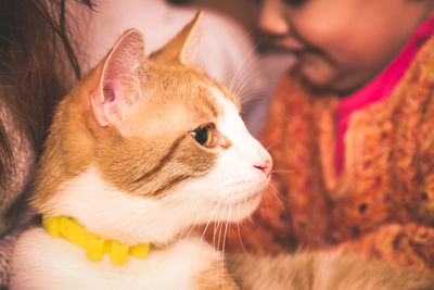 Close-up of cat looking away by girl at home 