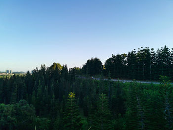 Plants growing on land against clear sky