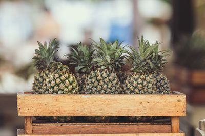 Close-up of pineapples in wooden box