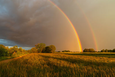 A double rainbow against a dark cloud over a meadow, summer view