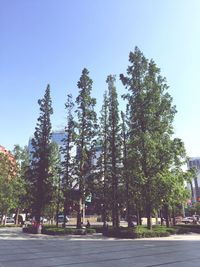 View of trees against clear blue sky