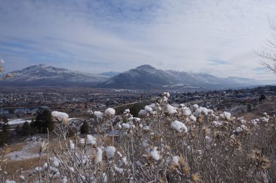 mountain