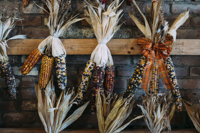 Close-up of corn hanging